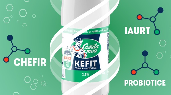 Ответ Căsuța mea на вызовы современной жизни