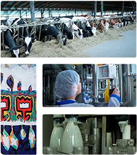 Filosofia companiei LapmolAbout us image